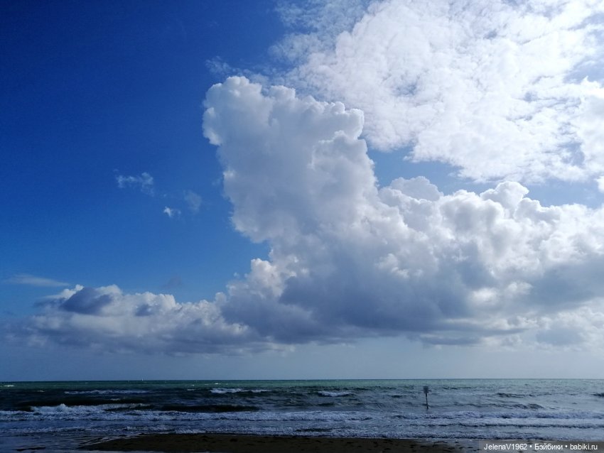 Осеннее море, Цвергназе и морской кот