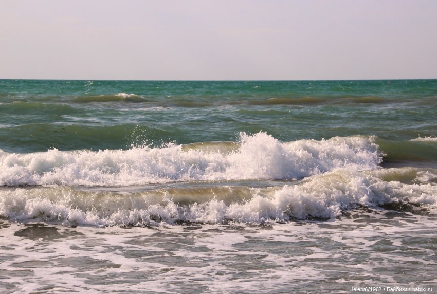 Осеннее море, Цвергназе и морской кот