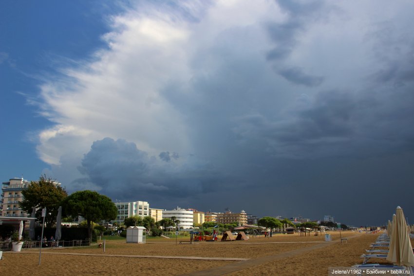 Осеннее море, Цвергназе и морской кот