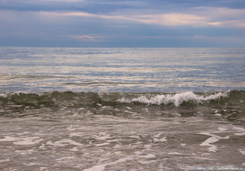 Осеннее море, Цвергназе и морской кот