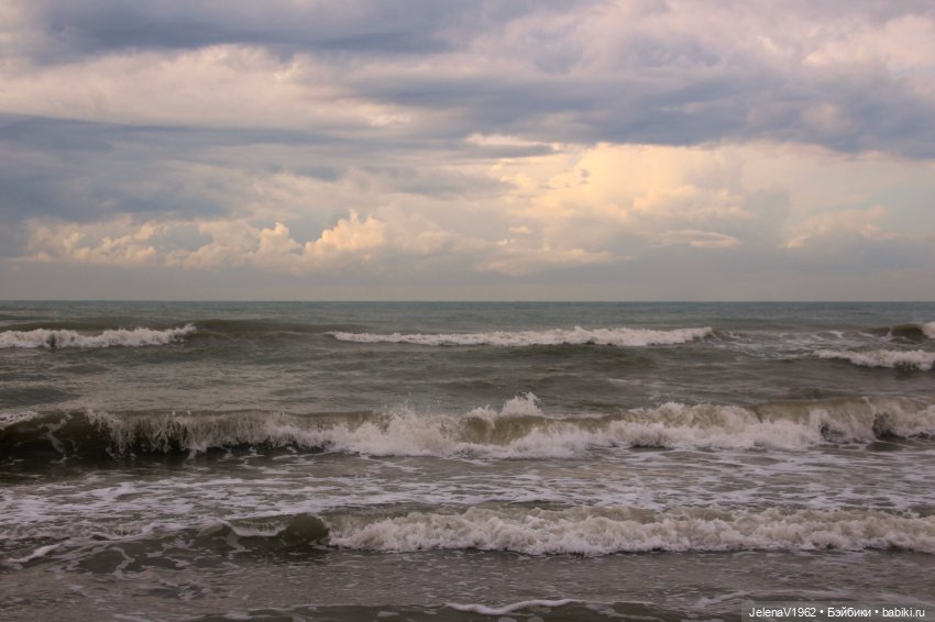 Осеннее море, Цвергназе и морской кот