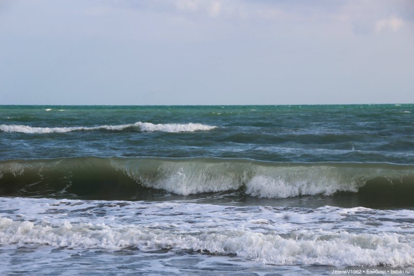 Осеннее море, Цвергназе и морской кот