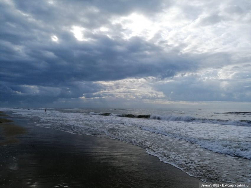 Осеннее море, Цвергназе и морской кот