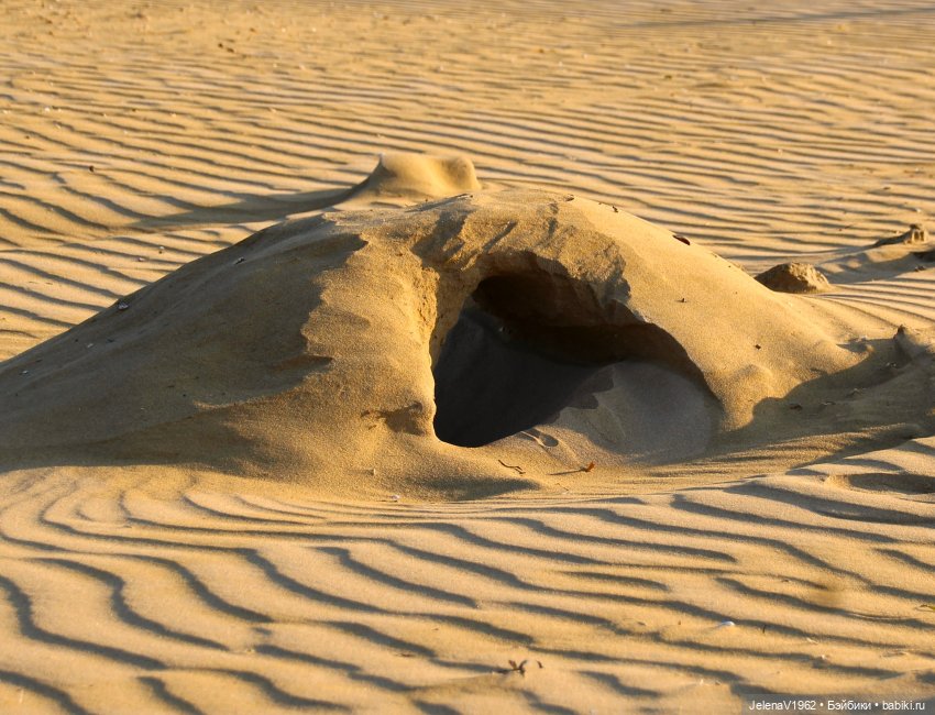 Осеннее море, Цвергназе и морской кот (фото 6)