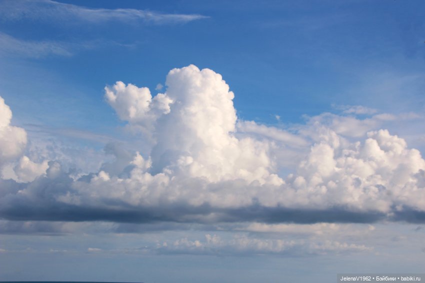 Осеннее море, Цвергназе и морской кот