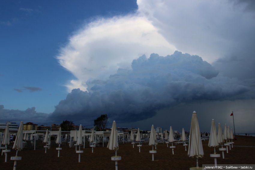 Осеннее море, Цвергназе и морской кот