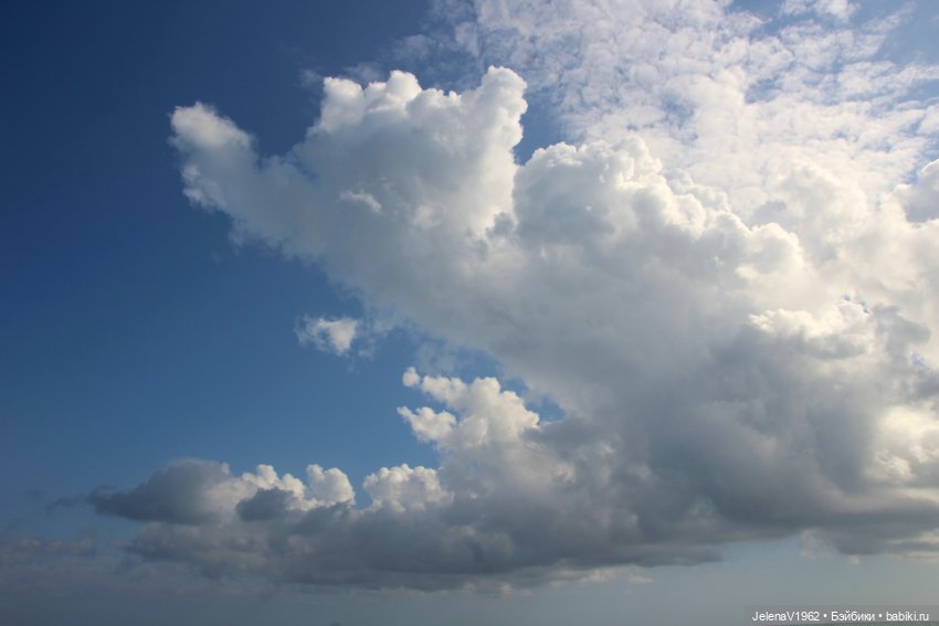 Осеннее море, Цвергназе и морской кот