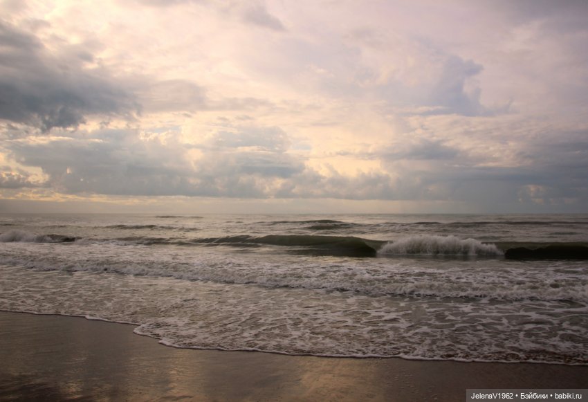 Осеннее море, Цвергназе и морской кот