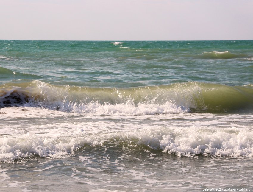 Осеннее море, Цвергназе и морской кот