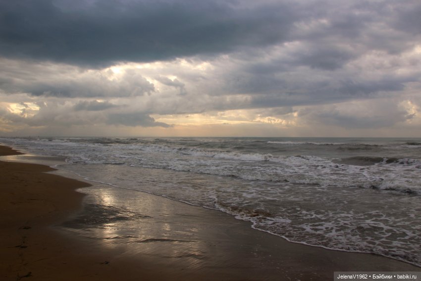 Осеннее море, Цвергназе и морской кот