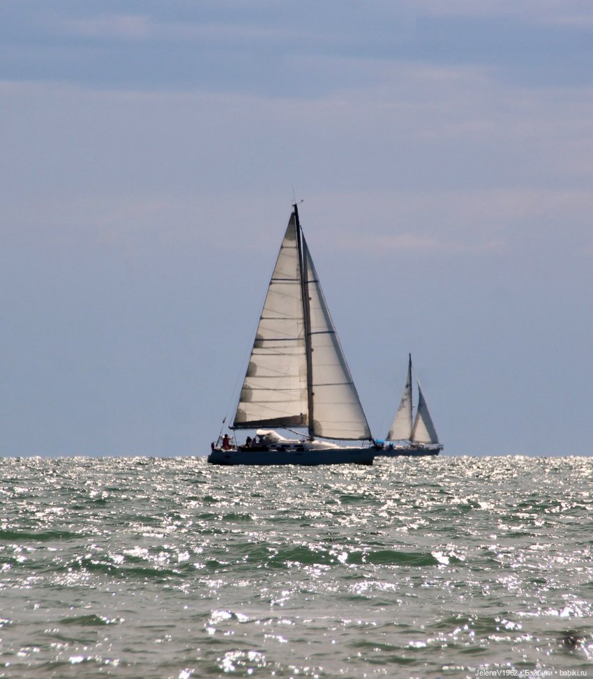 Осеннее море, Цвергназе и морской кот