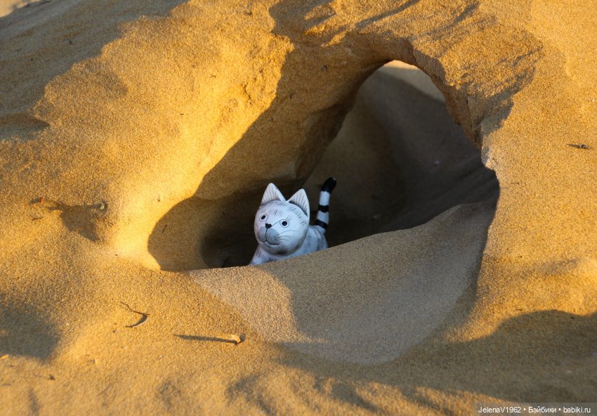 Осеннее море, Цвергназе и морской кот (фото 7)