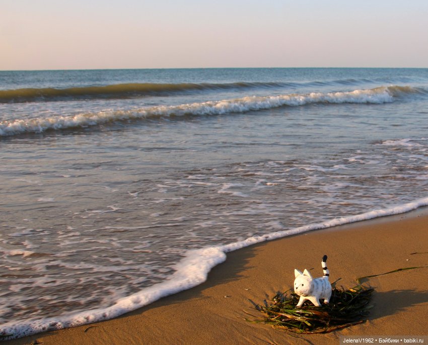 Осеннее море, Цвергназе и морской кот (фото 8)