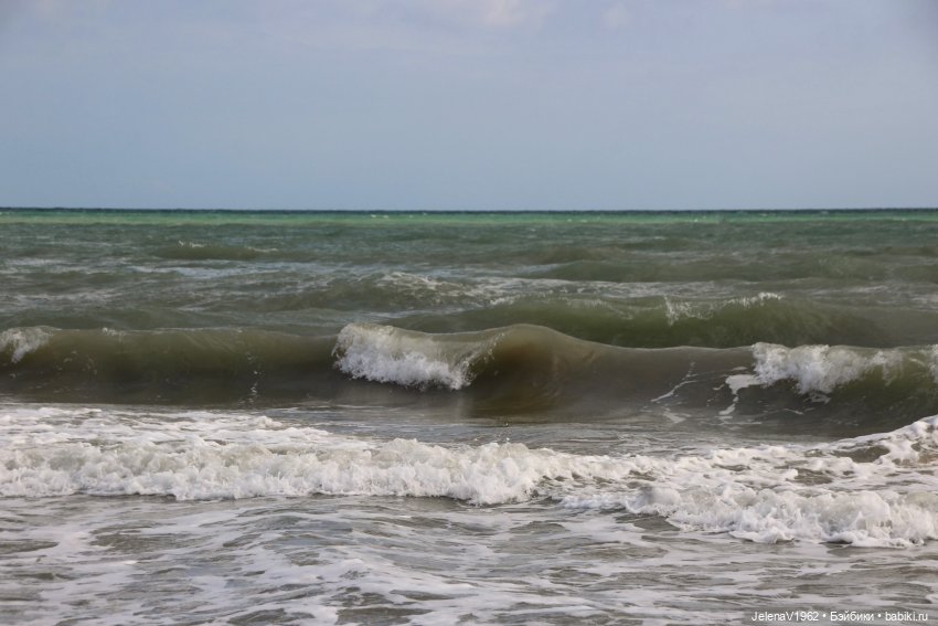 Осеннее море, Цвергназе и морской кот