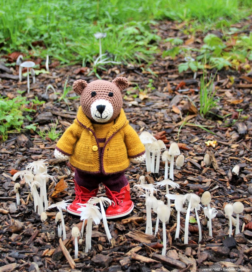 Тепло осени с Цвергами — Игровые куклы Zwergnase (Цвергназе) Junior: Джуниор