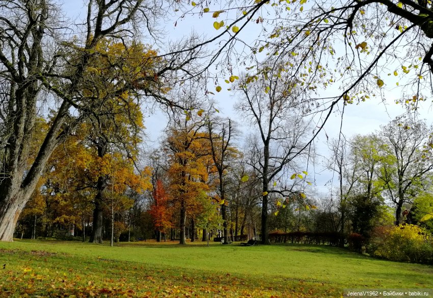 Тепло осени с Цвергами — Игровые куклы Zwergnase (Цвергназе) Junior: Джуниор