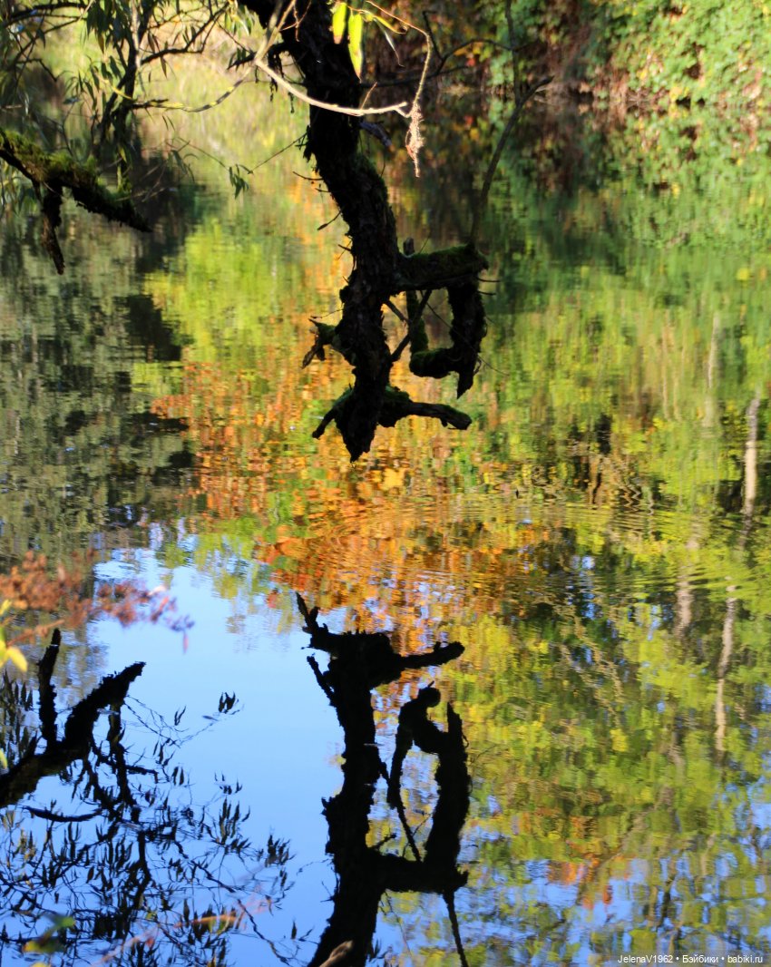 Тепло осени с Цвергами — Игровые куклы Zwergnase (Цвергназе) Junior: Джуниор