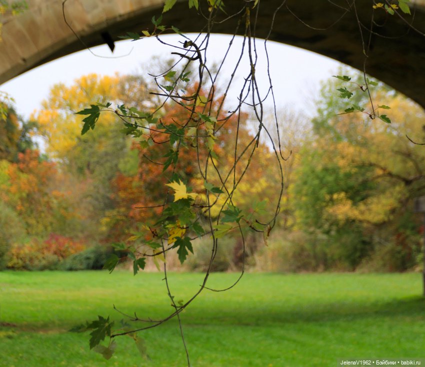 Тепло осени с Цвергами — Игровые куклы Zwergnase (Цвергназе) Junior: Джуниор