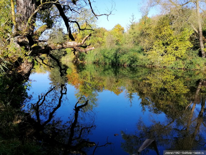 Тепло осени с Цвергами — Игровые куклы Zwergnase (Цвергназе) Junior: Джуниор