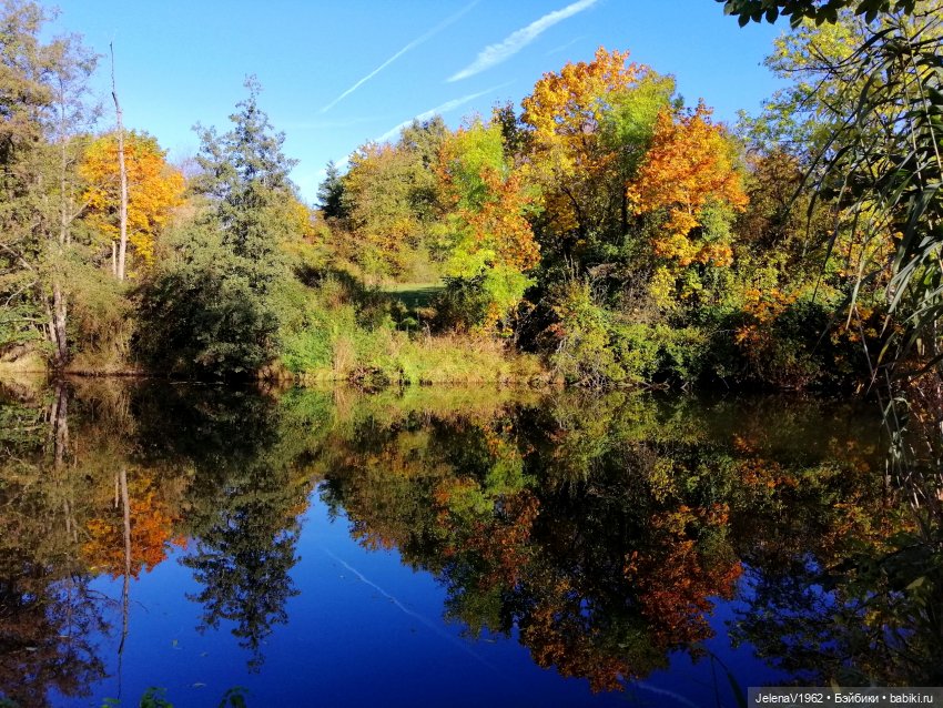 Тепло осени с Цвергами — Игровые куклы Zwergnase (Цвергназе) Junior: Джуниор