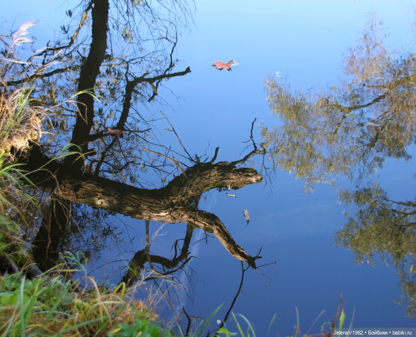 Тепло осени с Цвергами — Игровые куклы Zwergnase (Цвергназе) Junior: Джуниор