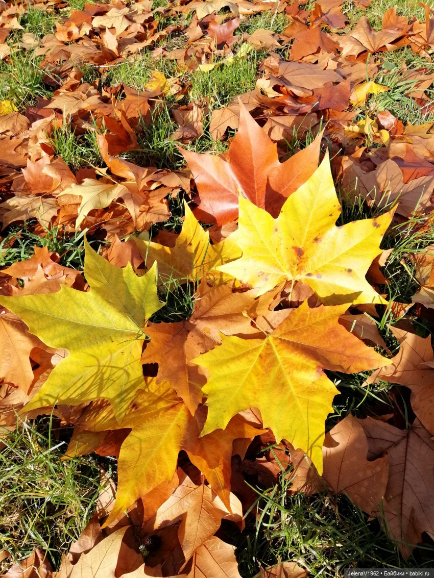 Тепло осени с Цвергами — Игровые куклы Zwergnase (Цвергназе) Junior: Джуниор