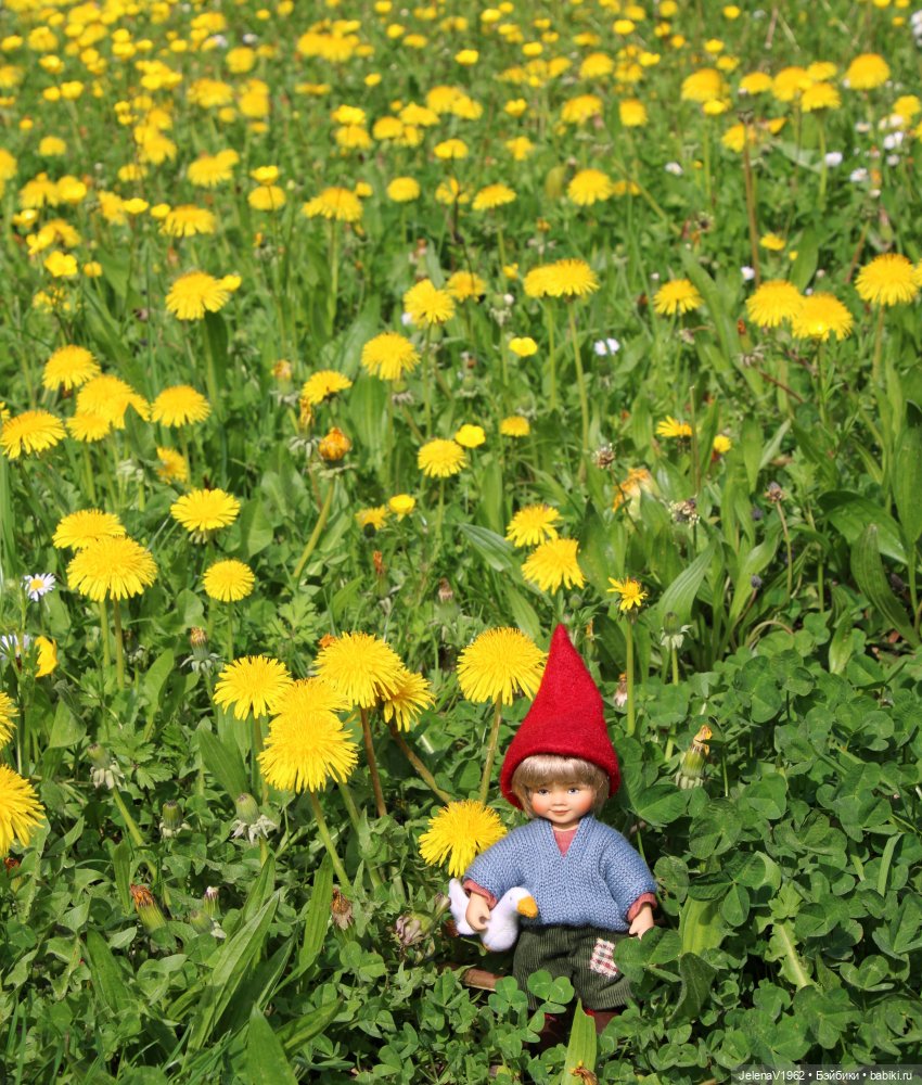 Как долго я его искала... Лесной гномик Антон, Birgitte Frigast (фото 2)