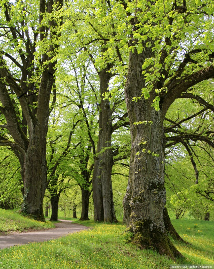 Мийская весна — Куклы Nines d'Onil (Нинес): Миа (Mia)