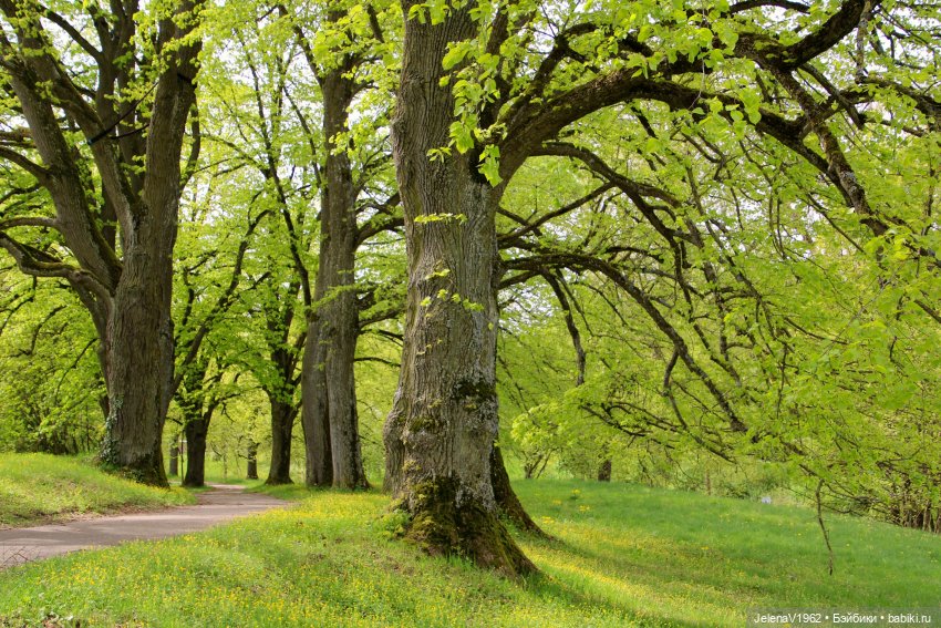 Мийская весна — Куклы Nines d'Onil (Нинес): Миа (Mia)