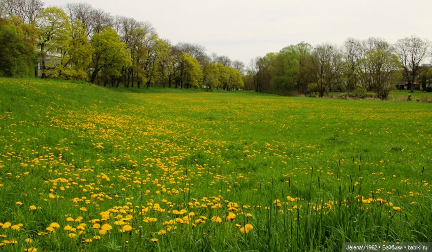 Мийская весна — Куклы Nines d'Onil (Нинес): Миа (Mia)