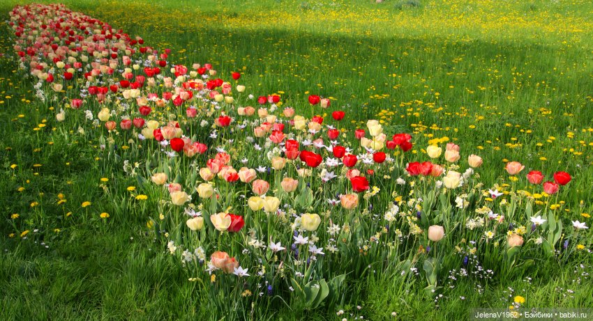 Мийская весна — Куклы Nines d'Onil (Нинес): Миа (Mia)