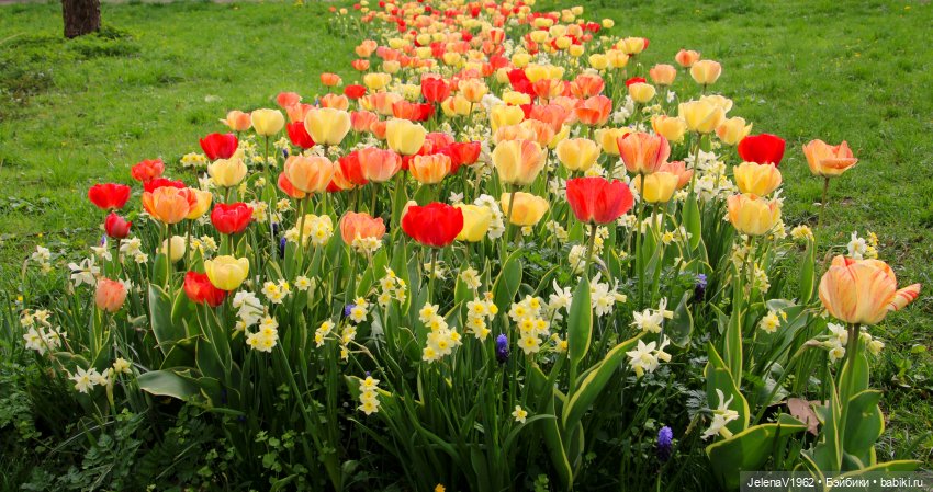 Мийская весна — Куклы Nines d'Onil (Нинес): Миа (Mia) (фото 10)