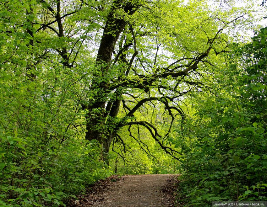 Мийская весна — Куклы Nines d'Onil (Нинес): Миа (Mia)