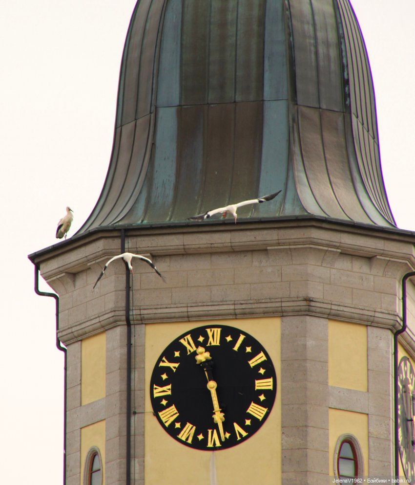 Куклы Хайди Отт и птицы в нашем городе