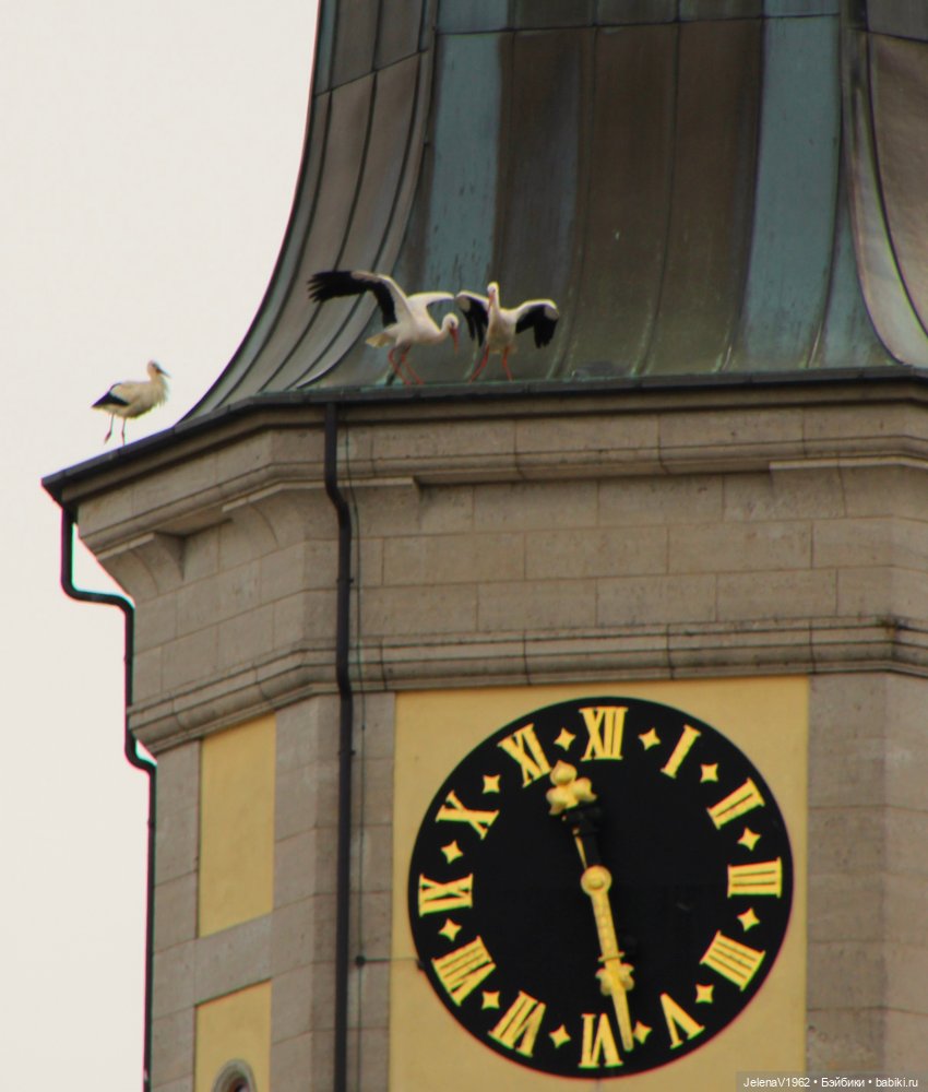 Куклы Хайди Отт и птицы в нашем городе