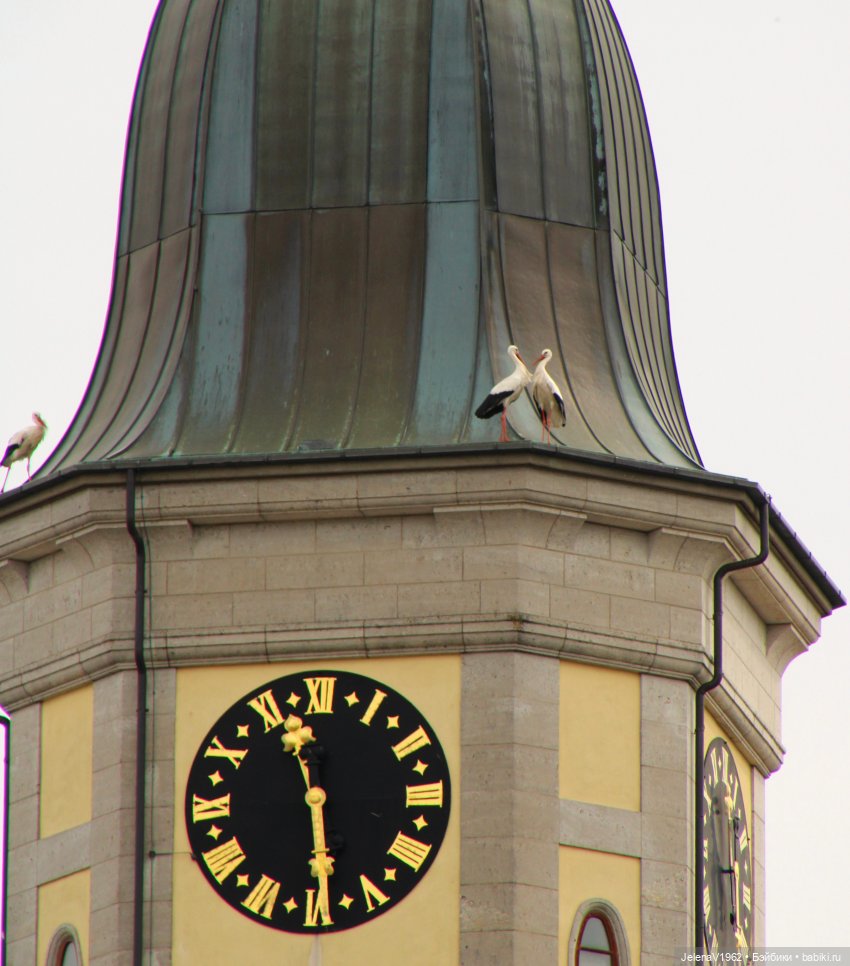 Куклы Хайди Отт и птицы в нашем городе