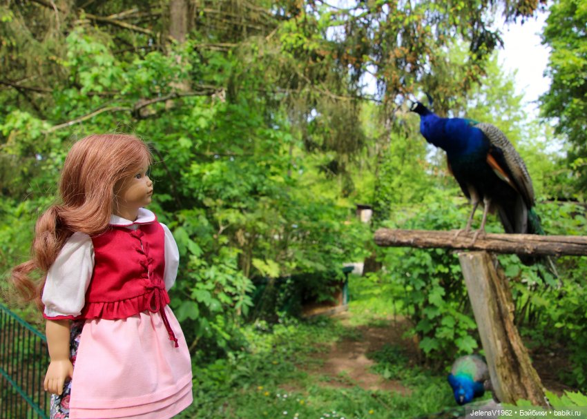 Куклы Хайди Отт и птицы в нашем городе