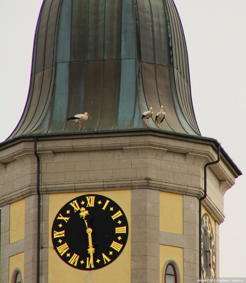 Куклы Хайди Отт и птицы в нашем городе