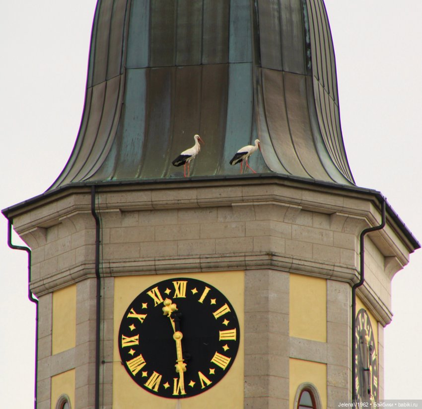 Куклы Хайди Отт и птицы в нашем городе