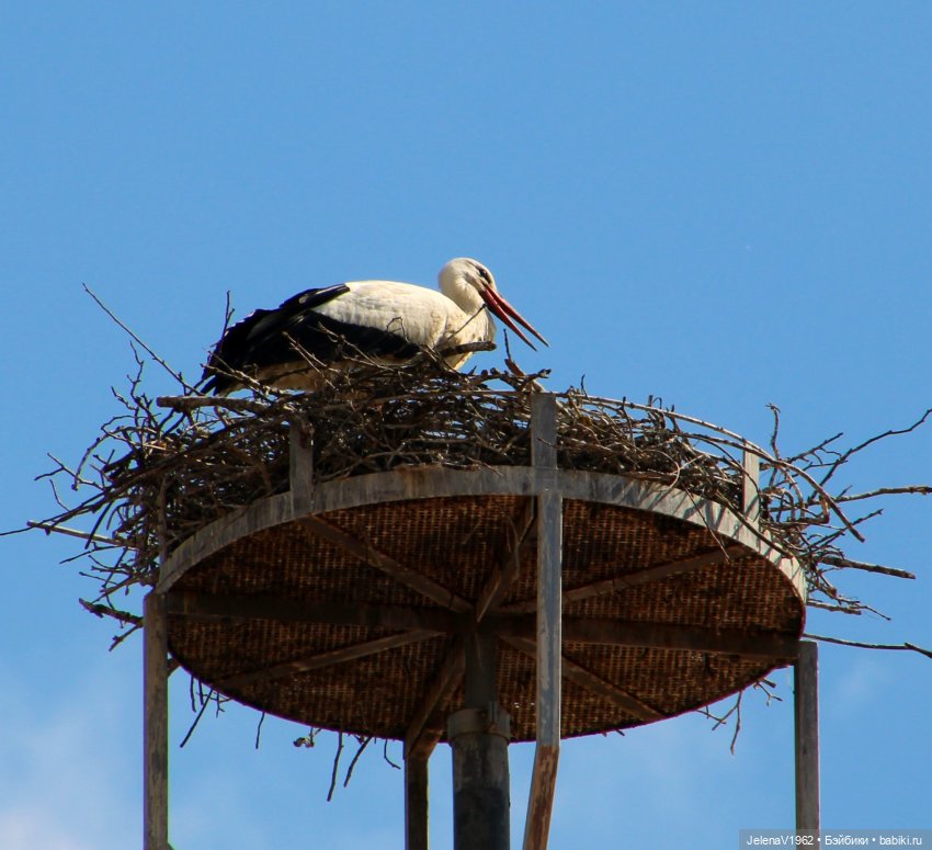 Куклы Хайди Отт и птицы в нашем городе