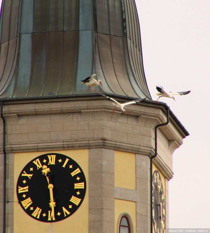 Куклы Хайди Отт и птицы в нашем городе