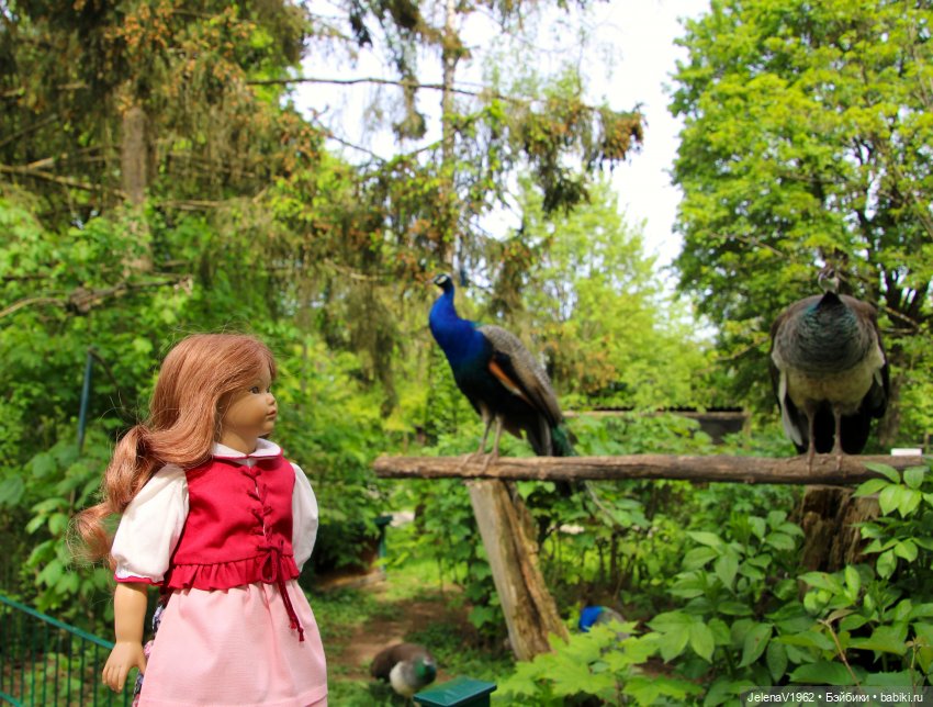 Куклы Хайди Отт и птицы в нашем городе