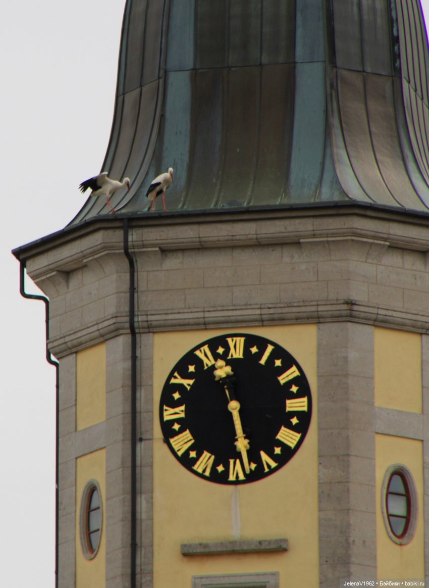 Куклы Хайди Отт и птицы в нашем городе