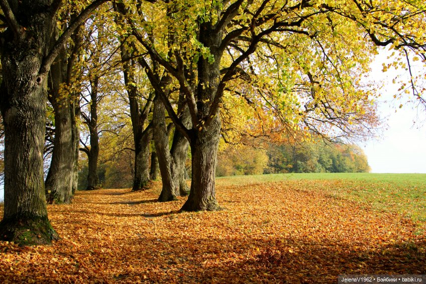 Ох, уж эти Мийки — Куклы Nines d'Onil (Нинес): Миа (Mia)