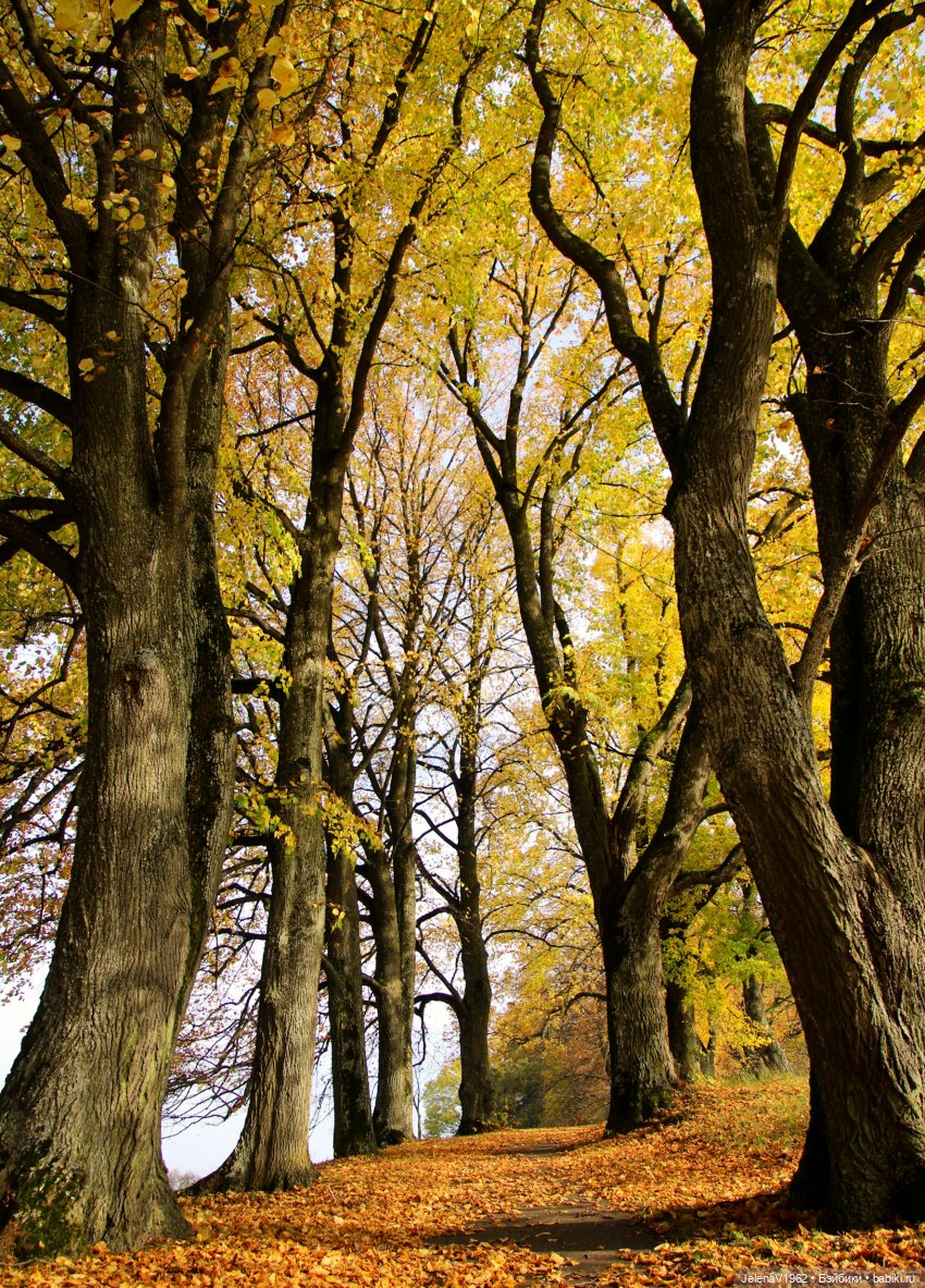 Ох, уж эти Мийки — Куклы Nines d'Onil (Нинес): Миа (Mia)