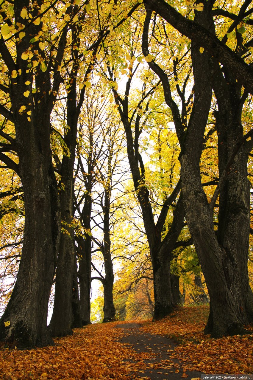 Ох, уж эти Мийки — Куклы Nines d'Onil (Нинес): Миа (Mia)