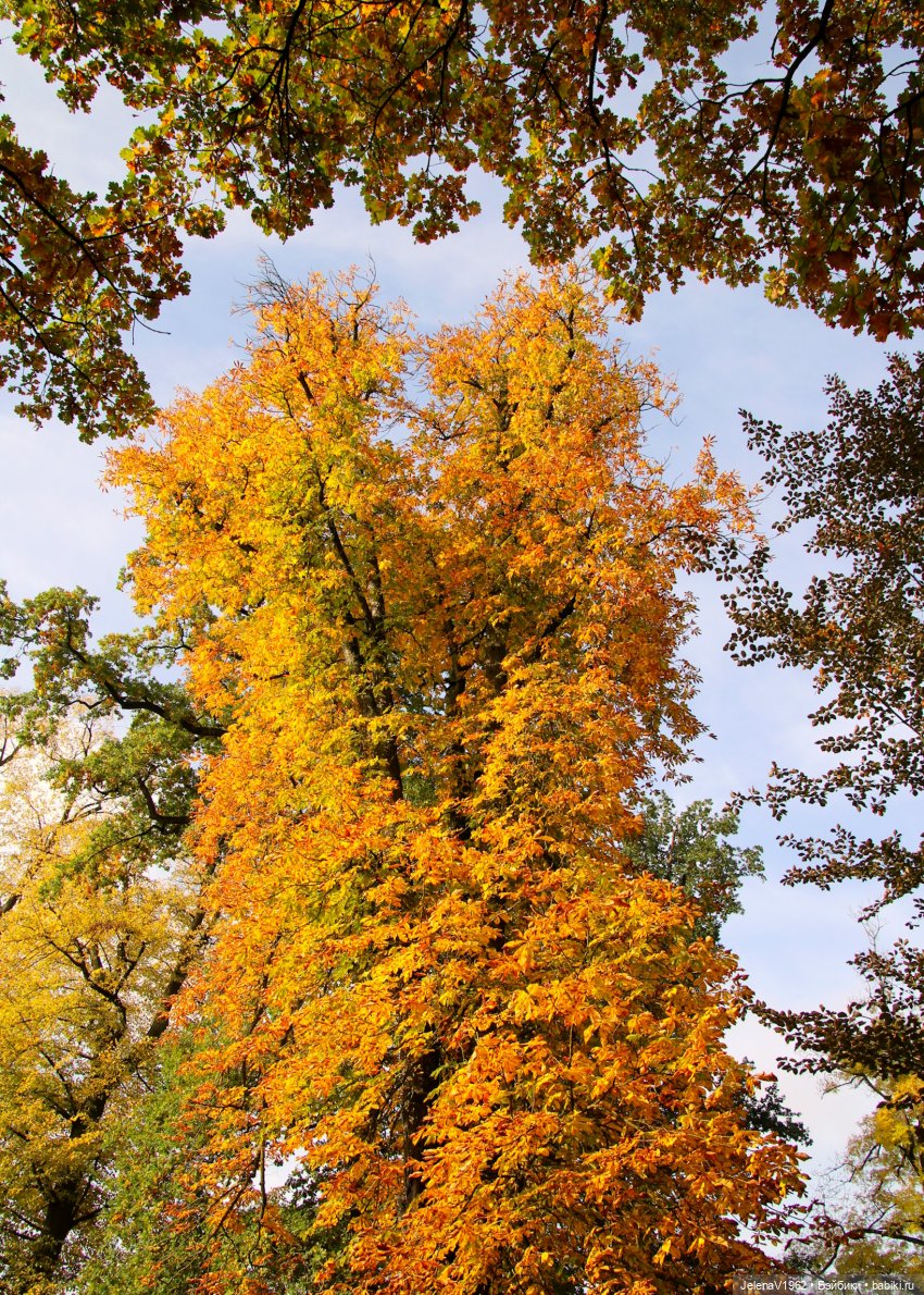 Ох, уж эти Мийки — Куклы Nines d'Onil (Нинес): Миа (Mia)