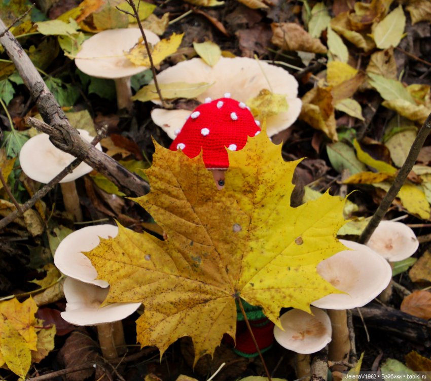 Ох, уж эти Мийки — Куклы Nines d'Onil (Нинес): Миа (Mia)