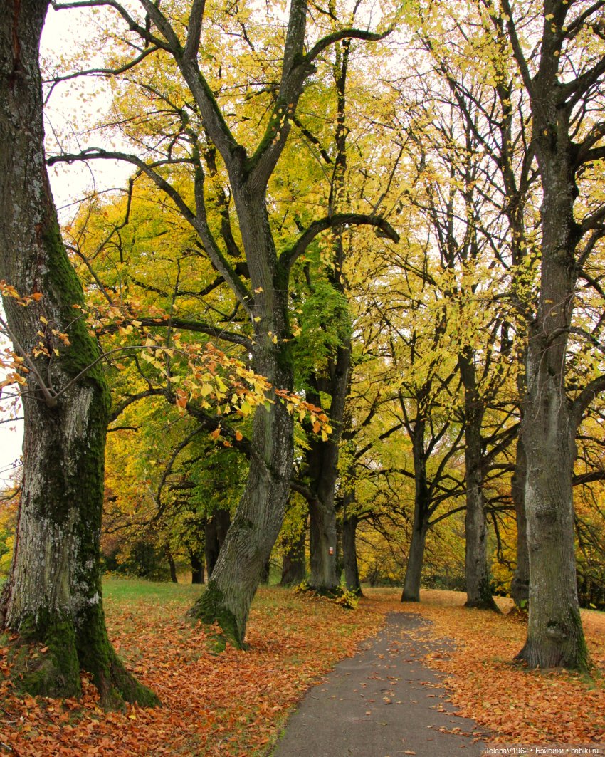 Ох, уж эти Мийки — Куклы Nines d'Onil (Нинес): Миа (Mia)