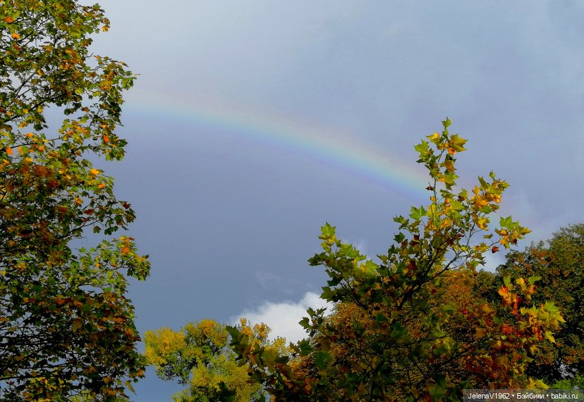 Ох, уж эти Мийки — Куклы Nines d'Onil (Нинес): Миа (Mia) (фото 3)